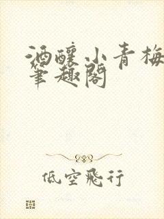 酒酿小青梅po笔趣阁