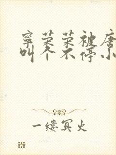 宁荣荣被唐三桶叫个不停小说