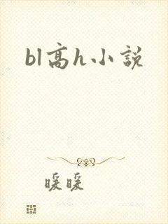 bl高h小说封面