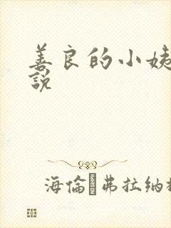 善良的小姨子小说