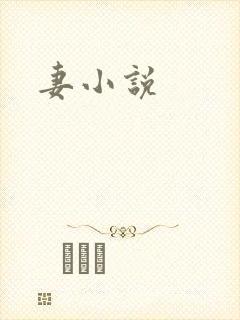 妻小说