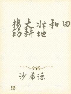 杨大壮和田桂花的耕地