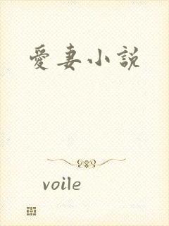 爱妻小说