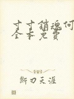 寸寸销魂何生祥全本免费