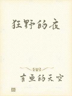 狂野的夜