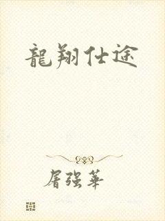 龙翔仕途