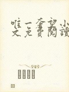 唯一奢望小说全文免费阅读