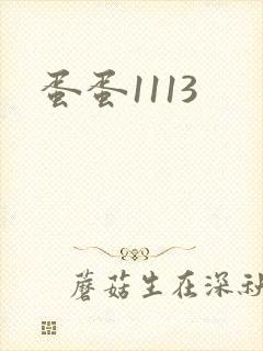蛋蛋1113