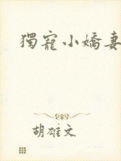 独宠小娇妻