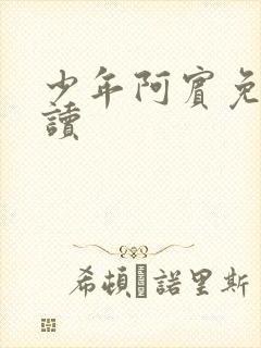 少年阿宾免费阅读