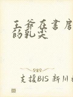 王爷在书房含她的乳尖