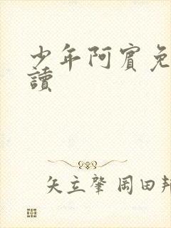少年阿宾免费阅读
