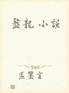 盘龙 小说
