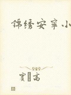 锦绣安宁小说