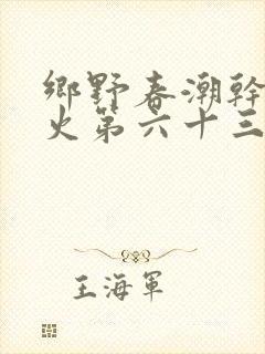 乡野春潮干柴烈火第六十三章