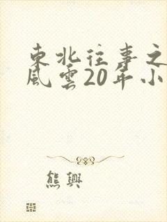 东北往事之黑道风云20年小说