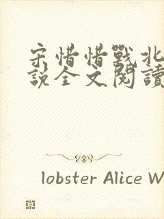 宋惜惜战北望小说全文阅读