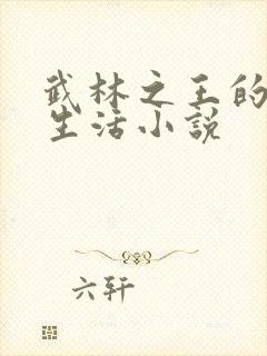 武林之王的退隐生活小说