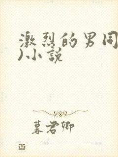 激烈的男同(h)小说