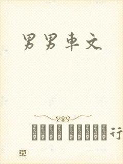 男男车文
