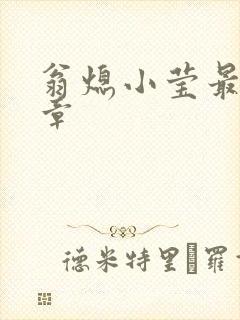 翁熄小莹最新节章