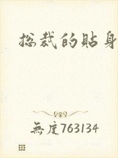 总裁的贴身女佣