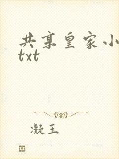共享皇家小公主txt