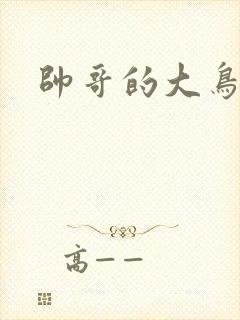 帅哥的大鸟