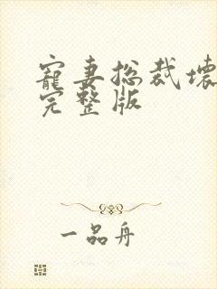 宠妻总裁坏透了完整版封面