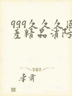 999久久久国产精品消防器材