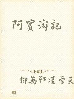 阿宾游记