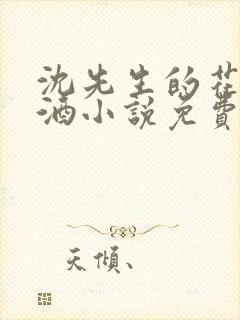 沈先生的花式调酒小说免费阅读