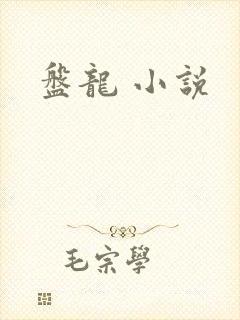 盘龙 小说