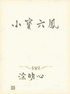 小宝六凤