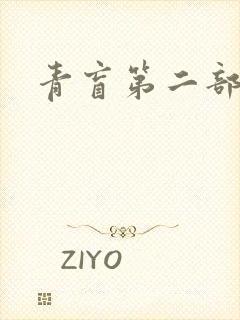 青盲第二部