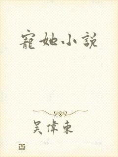 宠她小说