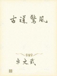 古道惊风