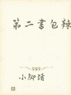 第二书包辣文