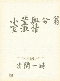 小莹与公翁办公室激情