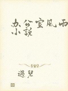 办公室风雨完整小说