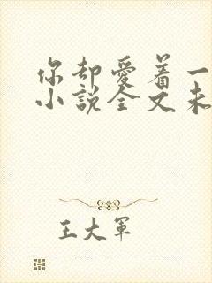 你却爱着一个他小说全文未删减免费