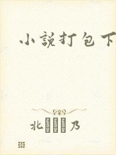 小说打包下载