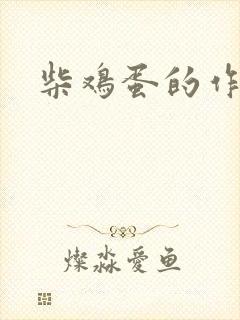 柴鸡蛋的作品