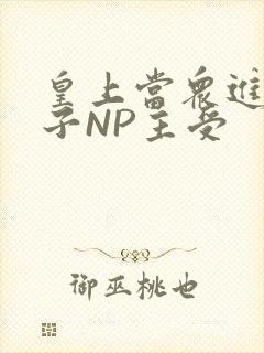 皇上当众进入太子NP主受