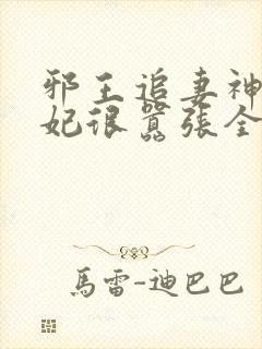 邪王追妻神医狂妃很嚣张全文免费