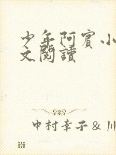 少年阿宾小说全文阅读