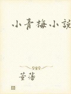 小青梅小说