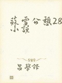 苏雪公憩28篇小说