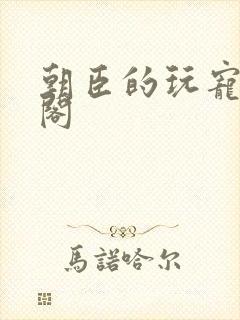 朝臣的玩宠笔趣阁