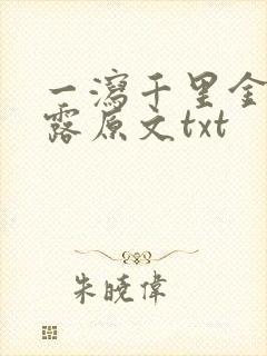 一泻千里金银花露原文txt